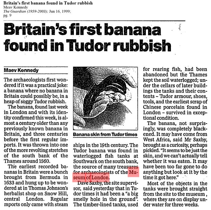 Guardian Britains first banana found