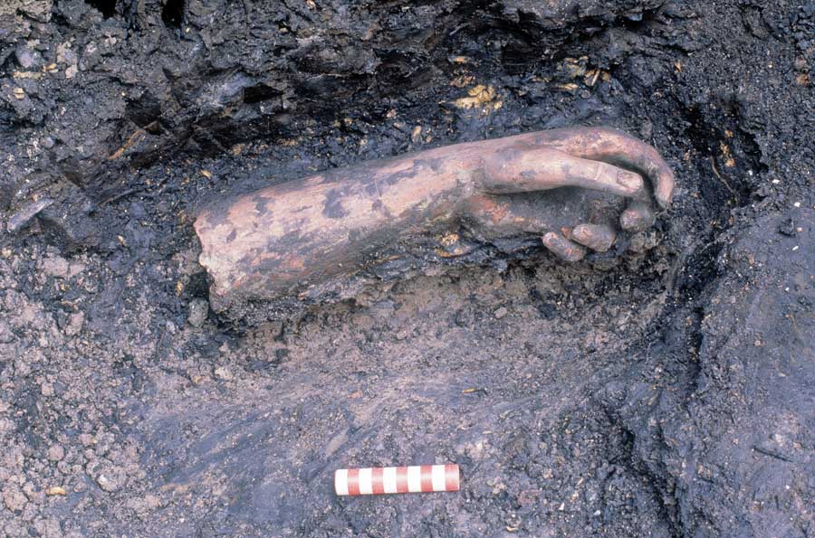  ‘Oh my God! a limb from a dismembered body’: the severed arm in the pond